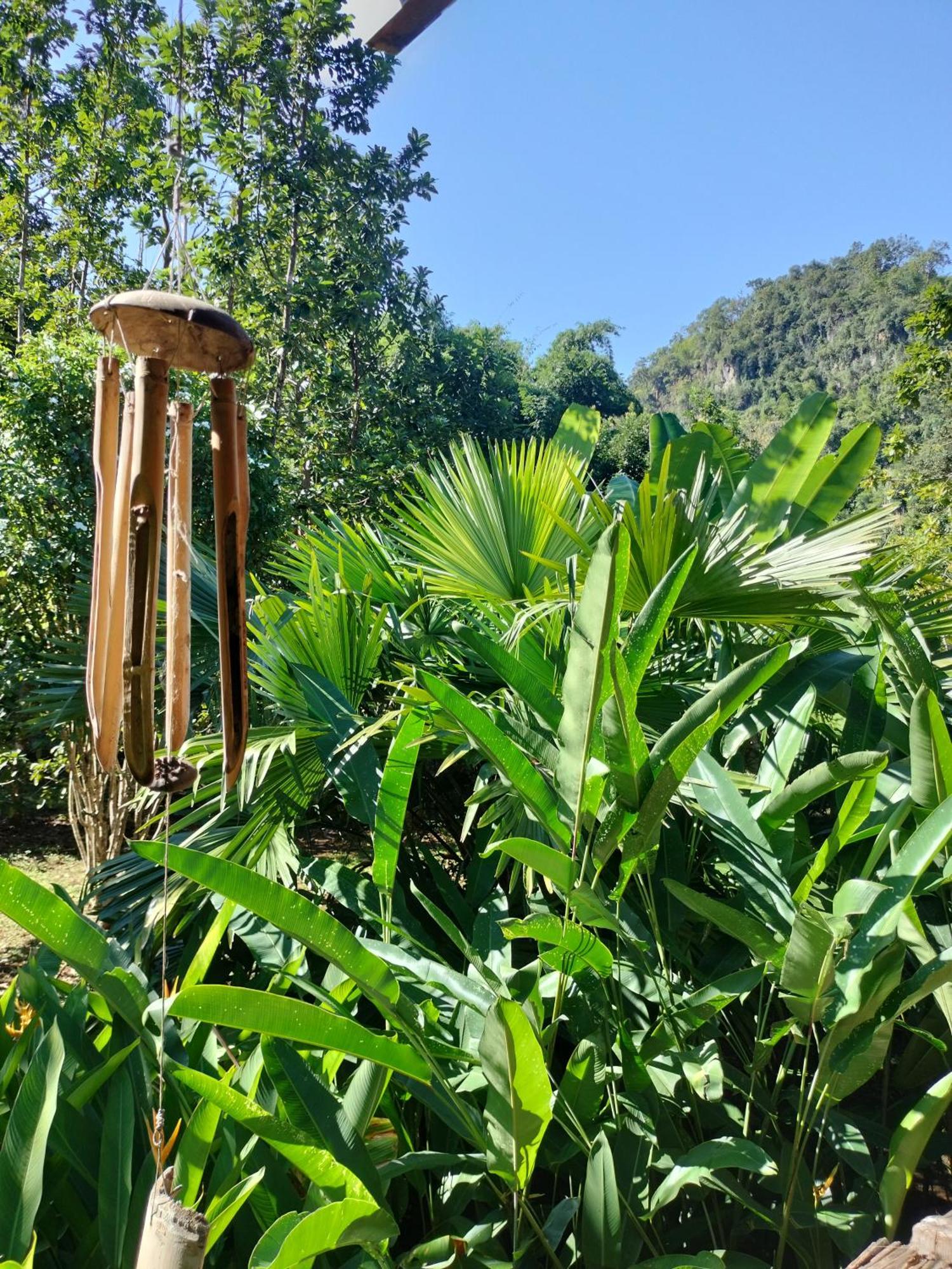 Pencave Homestay Pang Mapha 客房 照片